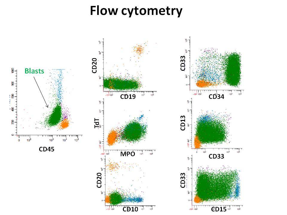 Flow cytometry